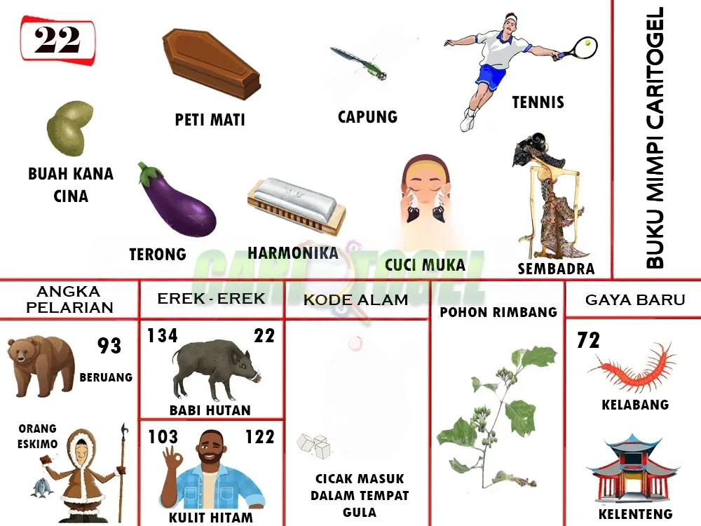 buku mimpi erek erek togel 22