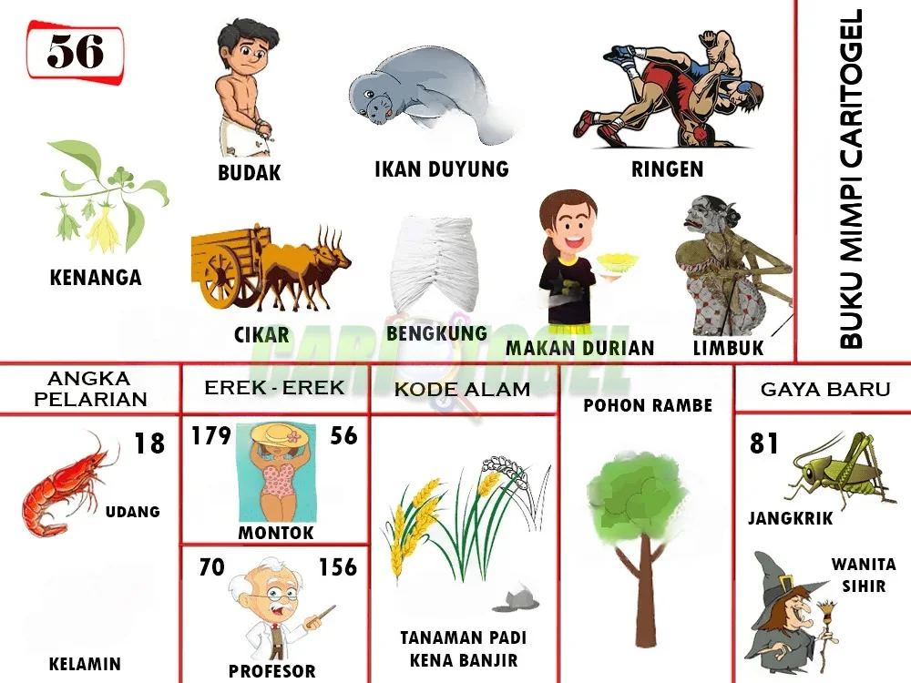 buku mimpi erek erek togel 56